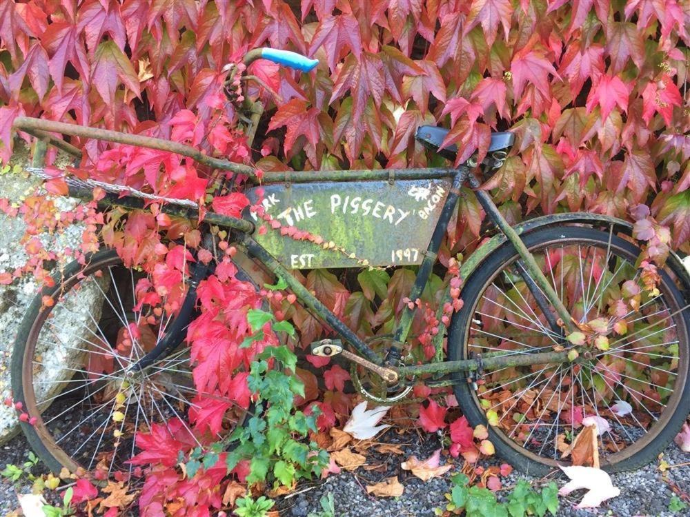 Woolaston The Piggeryヴィラ エクステリア 写真